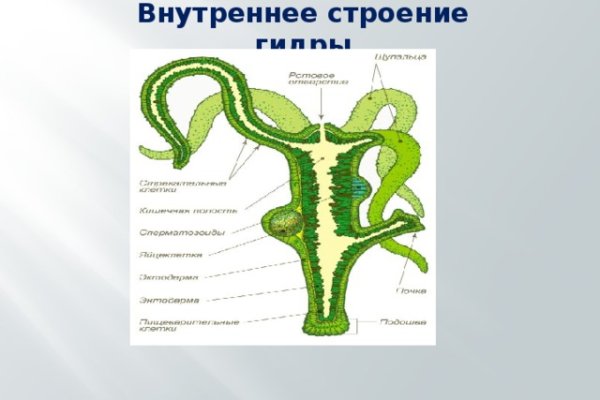 Кракен даркнет стор