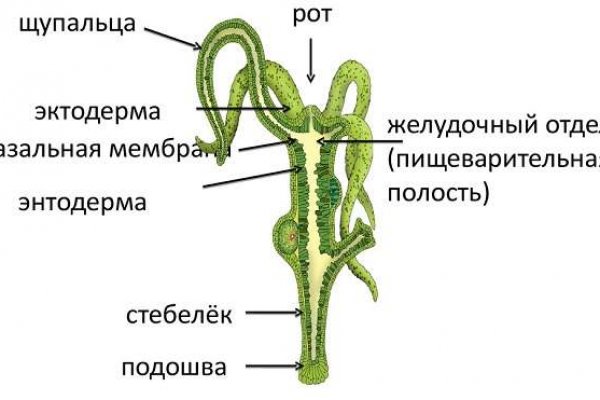 Kraken магазин ссылка